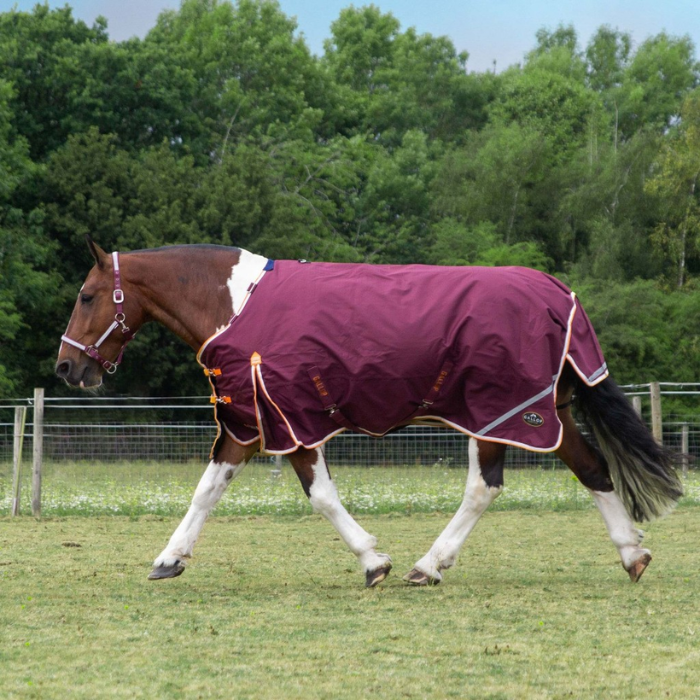 Horse wearing a burgundy rug in a grassy field with trees in the background
