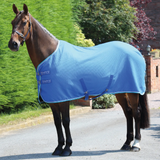 Bay horse wearing blue rug on greenery background