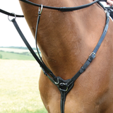 Horse neck showing black straps on faded background