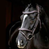 Le Mieux Kudos Contour Flash Bridle