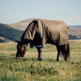 Horse wearing a brown rug grazing in a field with mountains in the background