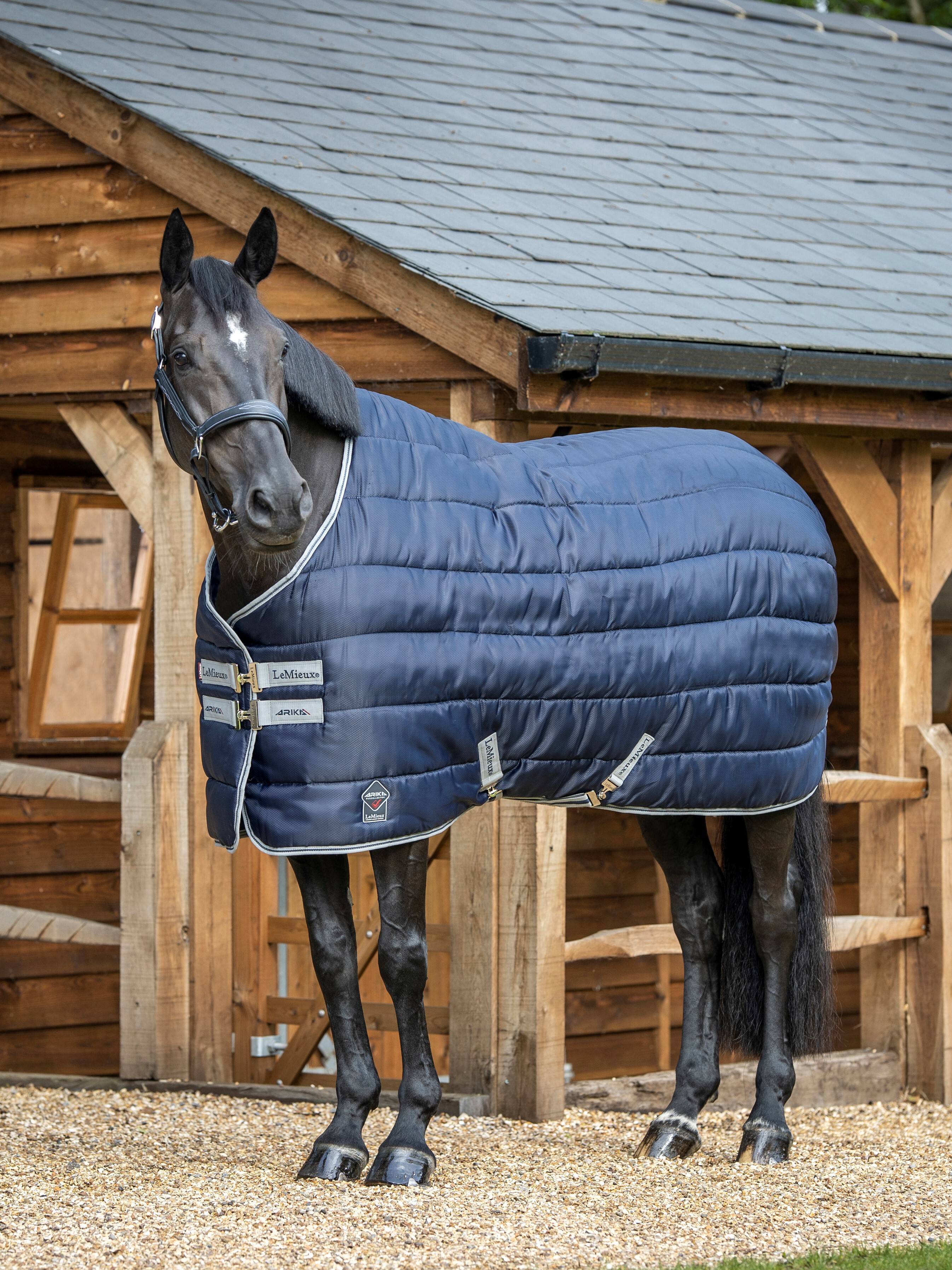 LeMieux Arika Stable-Tek 350g Rug