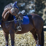 LeMieux Dressage Square in Ink Blue