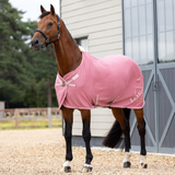 Horse stands wearing the LeMieux Kudos Bamboo Cooler Rug in Peony