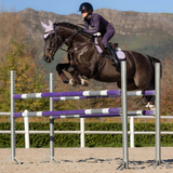 Horse jumps a purple obstacle in a sand arena with a mountain in the background