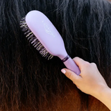 Person using a lilac hairbrush on a horse's coat