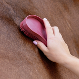 Person using a red brush on a horse's coat