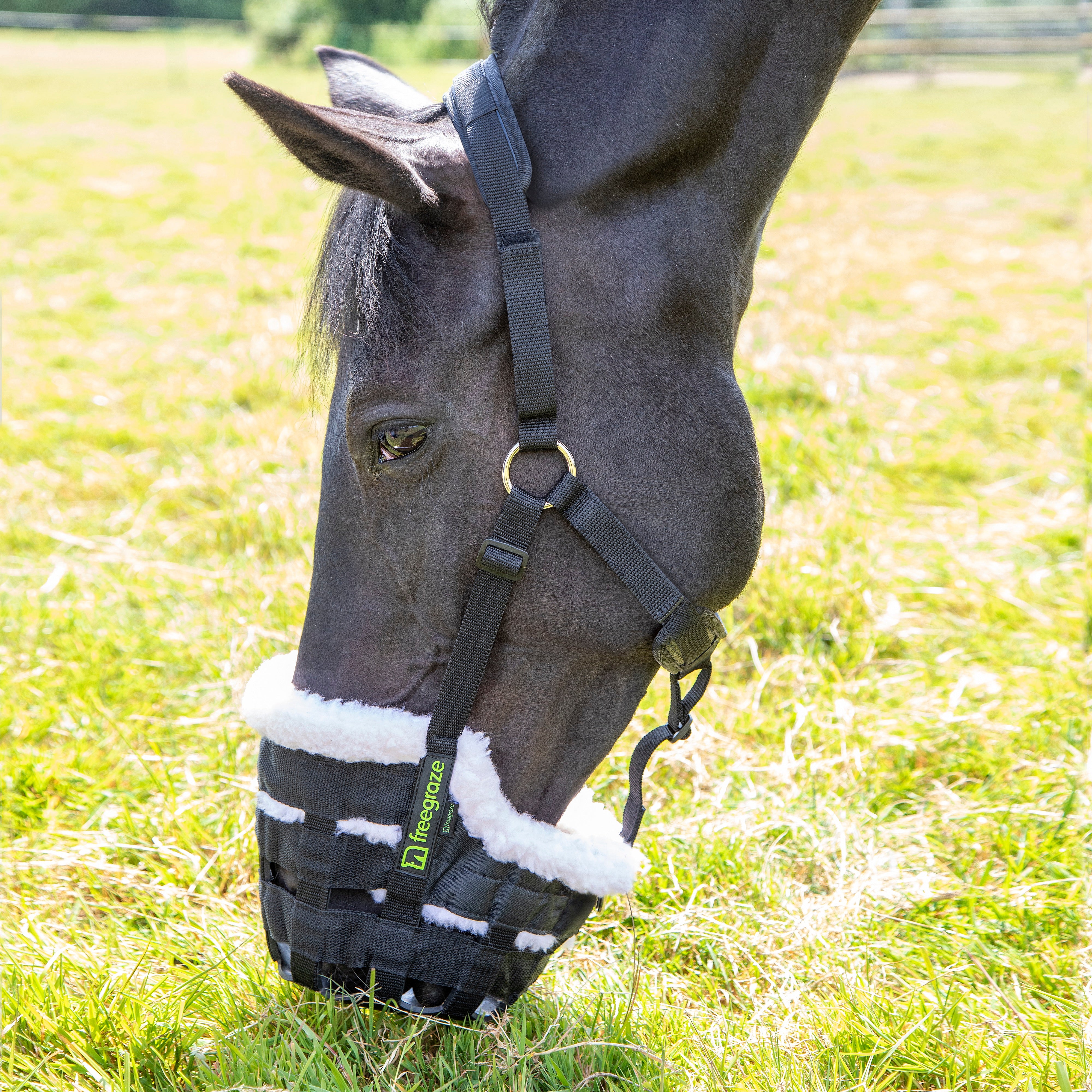 Shires Deluxe Comfort Grazing Muzzle