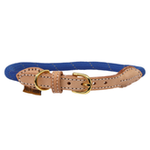 Shires Digby & Fox Reflective Dog Collar in Royal Blue