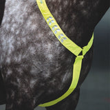 Shires EQUI-FLECTOR Breastplate