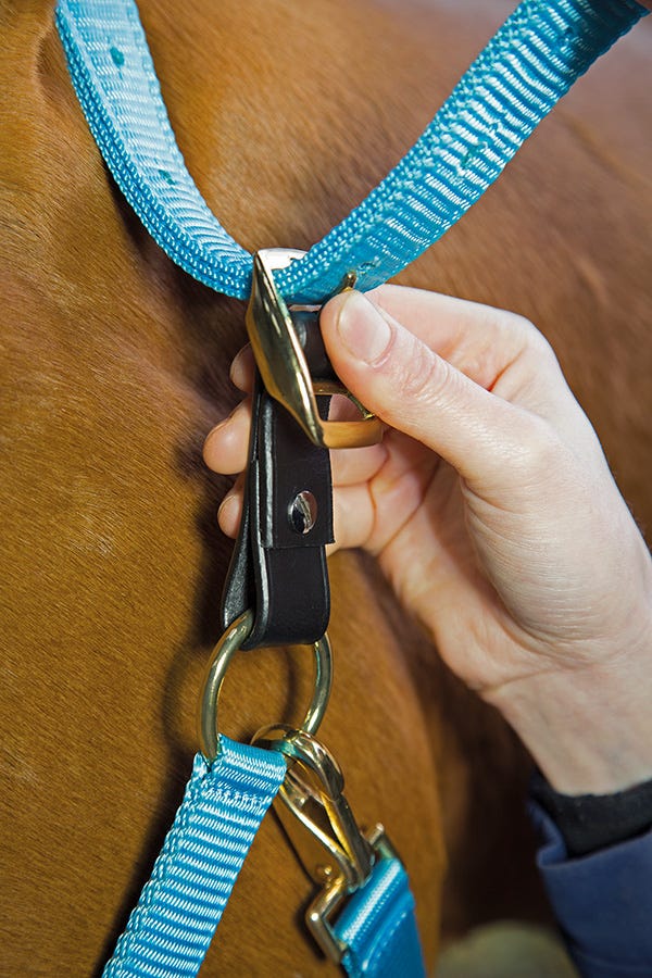 Shires Gara Headcollar Breakaway Attachment