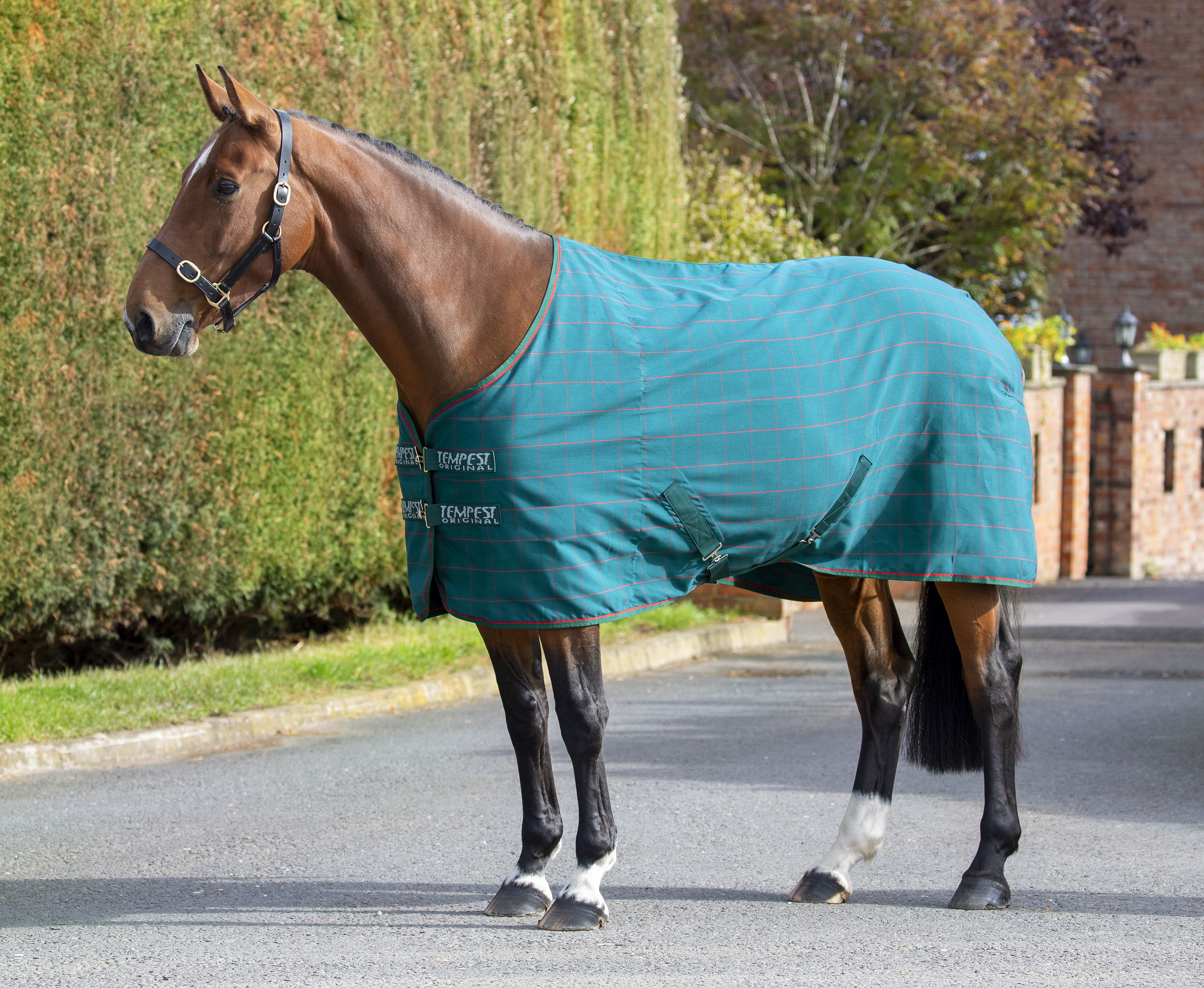 Shires Tempest Original Stable Sheet