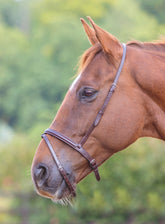 Shires Velociti Gara Flash Noseband