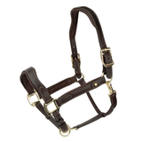Shires Velociti Lusso Lorca Leather Headcollar in Havana