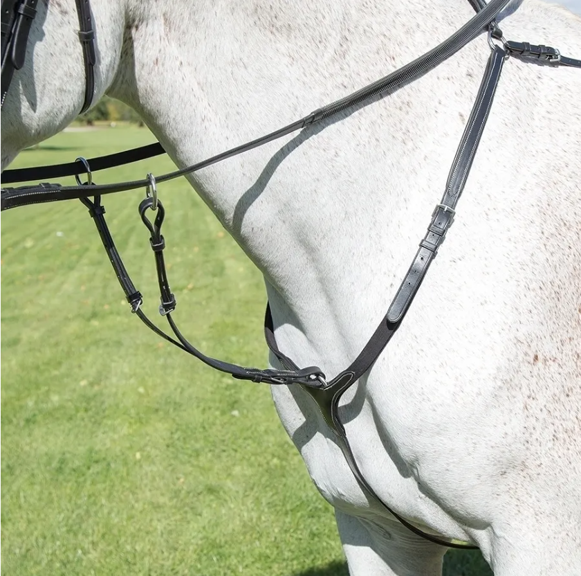 Shires Avignon Breastplate