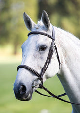 Shires Avignon Raised Cavesson Bridle