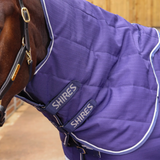 Horse wearing a navy quilted rug with 'Shires' branding.