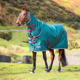 Horse wearing a teal rug in a grassy field