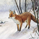 'The Edge Of The Forest' Christmas Greetings Card by Dick Twinney