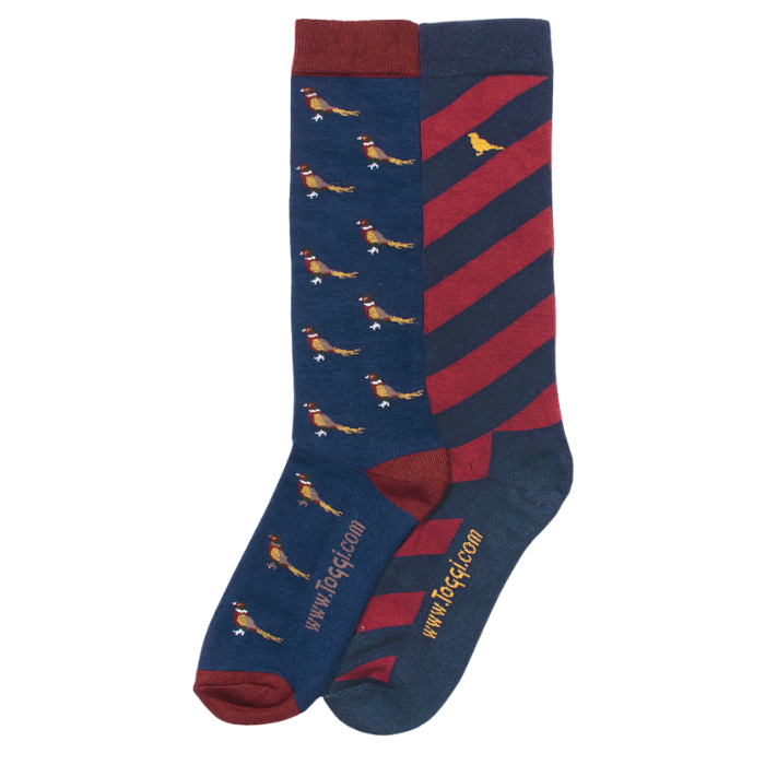 Toggi Men's Frankland Two Pack Socks in Blue/Sienna