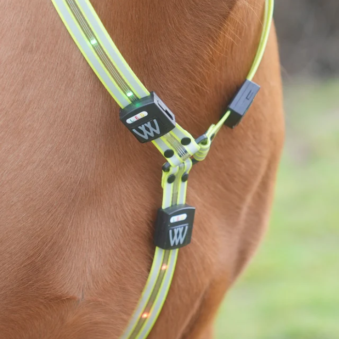 Woof Wear Rechargeable LED Neckband
