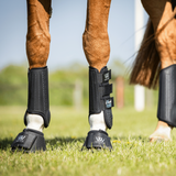 Horse wears Woof Wear iVent Event Boot