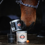 Horse nose pushing 2 tins of hoof care black and cream with brush holder