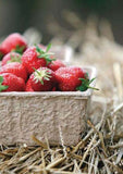 Charles Sainsbury-Plaice English Strawberries Greetings Card
