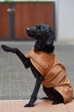 Eskadron Platinum Softshell Dog Coat-Dog Coats-Eland Lodge