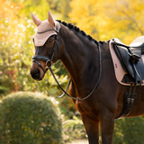 LeMieux AW26 Essence Fly Hood Variant Colour Wild Rose.
A dark brown horse outdoors wearing a light pink fly veil and matching saddle pad, with a black leather bridle and black saddle. The background shows a softly blurred garden with yellow autumn foliage.