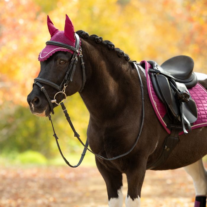 LeMieux AW26 Classic Fly Hood Variant Colour Blackberry.
A dark brown horse outdoors wearing a matching pink and black equestrian fly mask, bridle, saddle pad, and black saddle, with a blurred autumn forest background.