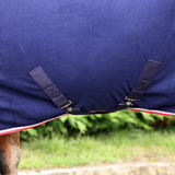 Close-up of a blue horse blanket with straps on a blurred green background