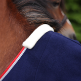 Close-up of a horse wearing a blue garment with a white and red trim.