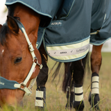 Horse gazing in field wearing a blue rug with yellow trim and ARIKA LeMieux branding