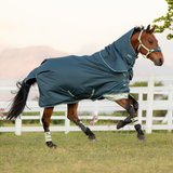 Horse gallops across a field wearing blue rug and protective boots