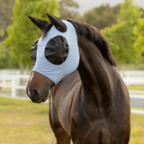 Horse wearing a fly mask in an outdoor setting with trees and a fence.