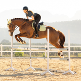 Horse jumping a show jump in an outdoor arena setting
