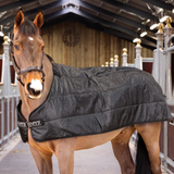 Horse wears a black horse rug liner in a stable barn setting