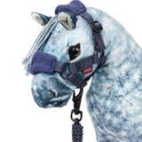 Grey pony wears a blue headcollar and matching rope on a white background
