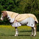 Horse wearing a beige and white fly sheet in a grassy field with trees in the background