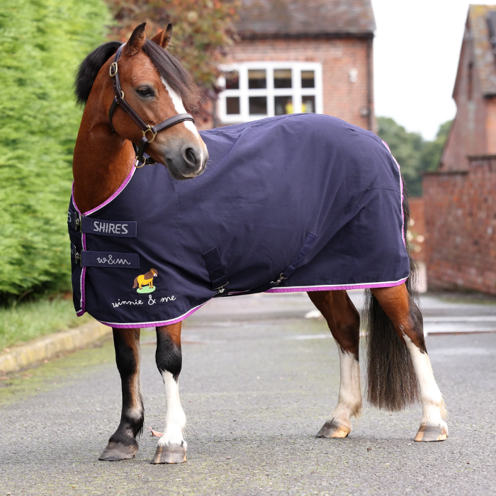 Horse wearing a navy Shires rug on a road with a building in the background