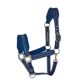 Blue horse halter with metal hardware on a white background