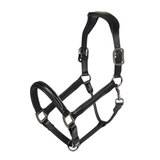 Horse halter in black leather on a white background