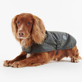 Spaniel type dog wears a green coat against a white background