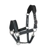Black horse halter with metal hardware on a white background