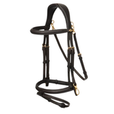 Brown horse bridle with gold hardware on a white background