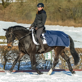 Horse and rider exercising in a snowy setting