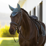 Dark horse wears a teal fly hood on a blurred outdoor background