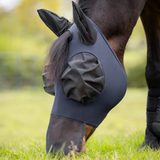 Horse wearing a fly mask in a grassy field