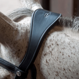 Close-up of a horse's head with a leather bridle and a blurred background